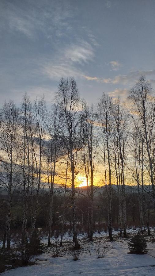 Przytulne Studio Borowkowy Zagajnik Piechowice  Exteriör bild