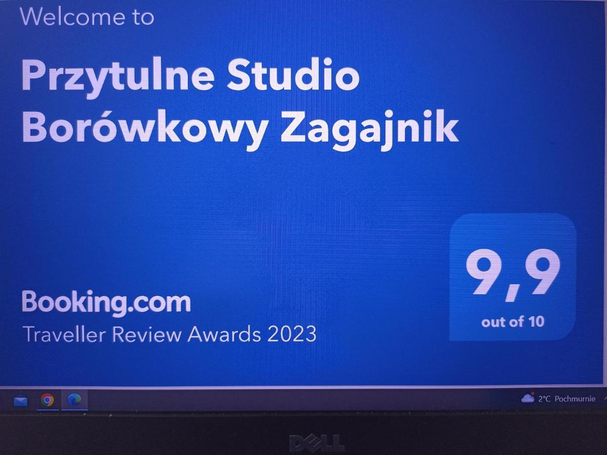 Przytulne Studio Borowkowy Zagajnik Piechowice  Exteriör bild
